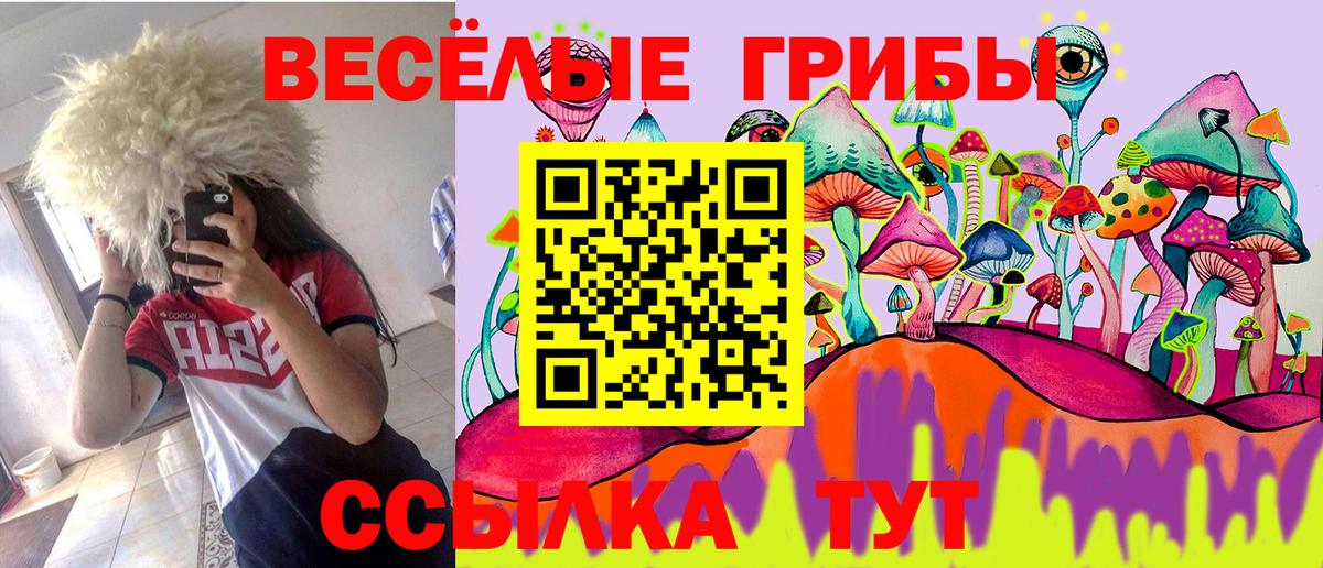 Галлюциногенные грибы MAGIC MUSHROOMS  где продают наркотики  Алапаевск  Вход с VPN 